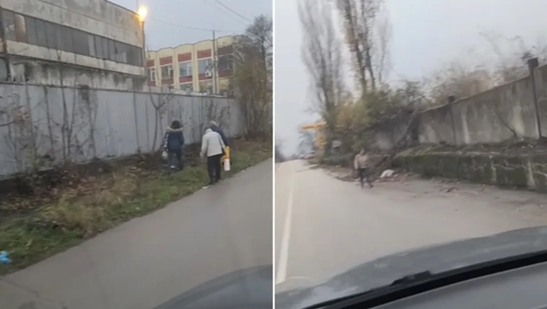 Обрасли тротоари във Враца принуждават пешеходци да вървят по пътя ВИДЕО