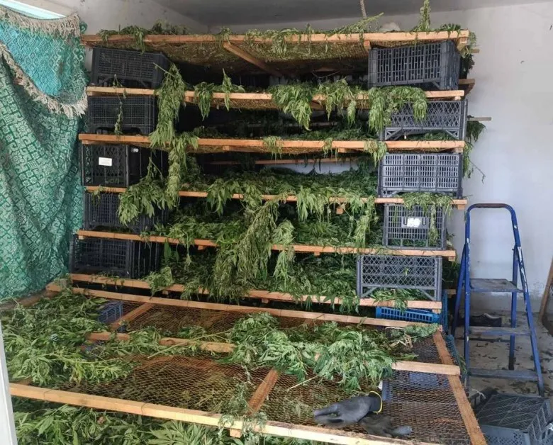 Откриха над 17 кг марихуана в къща