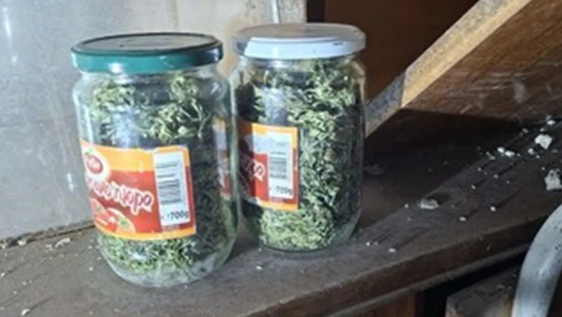 Иззеха 8 кг марихуана при спецакция в Бобов дол