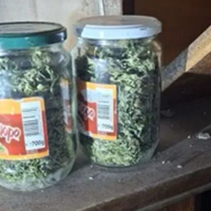 Иззеха 8 кг марихуана при спецакция в Бобов дол