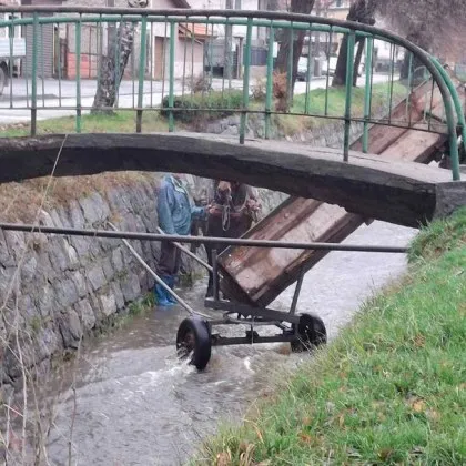 Живописна и откровено комична гледка разсмя самоковци – конче се