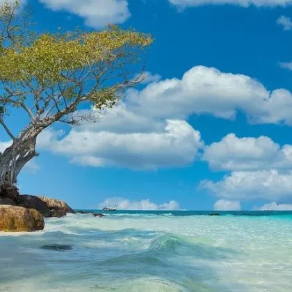 Райска дестинация с ключова промяна за алкохола, какво трябва да знаят туристите