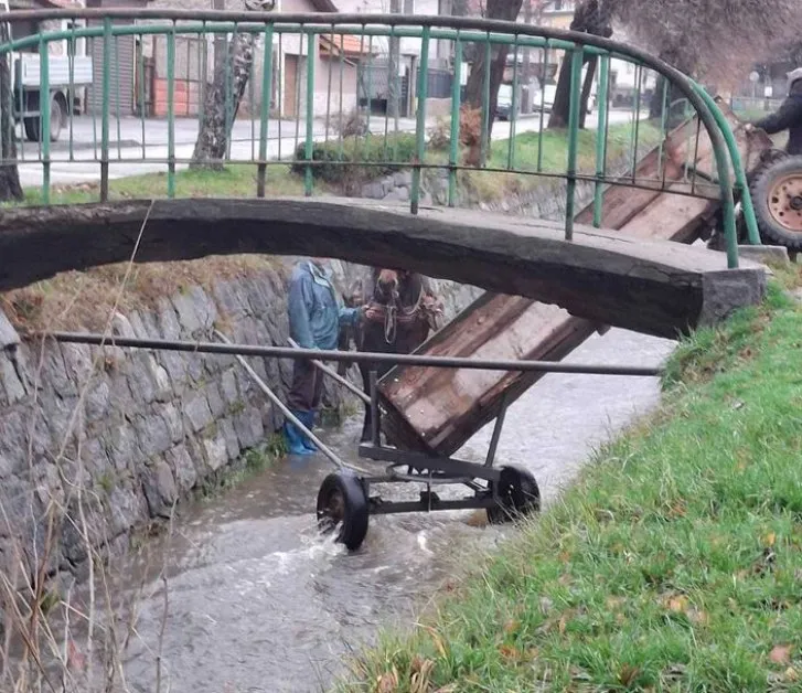 Отиде конят в реката: Когато крилатият израз се превърна в реалност СНИМКА