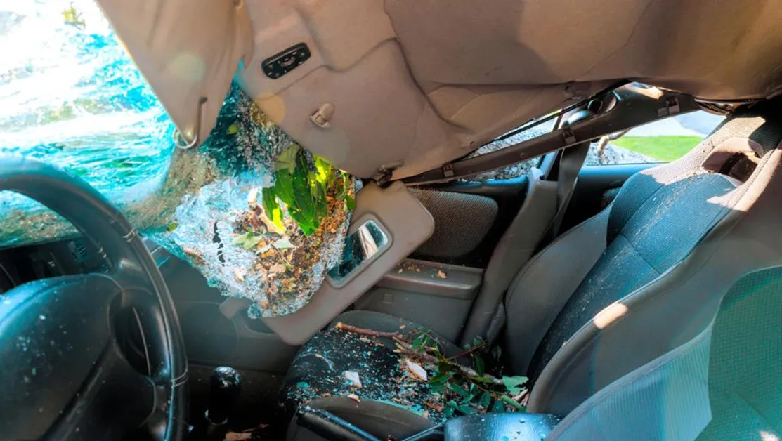 Шофьор загина намясто при тежка катастрофа край Търговище