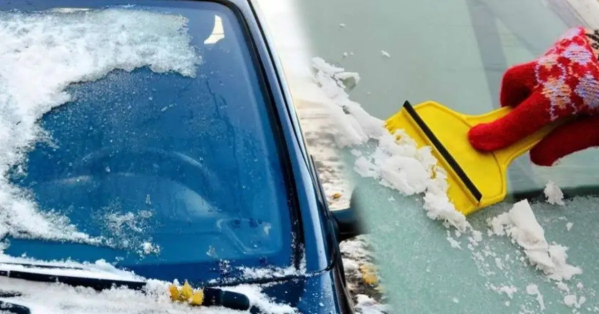 Фатални грешки: експерти споделят тайни как да защитите предното си стъкло