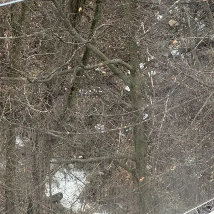 Драгалевци – квартал който някога се гордееше с реката си