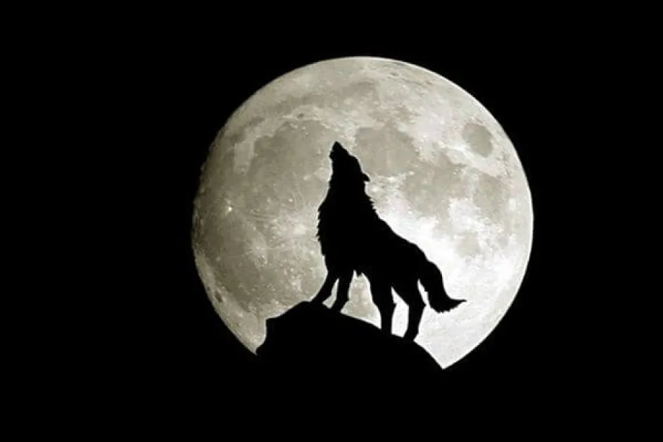Идва суперлуна - с вой на вълци и светлина, по-ярка от всякога
