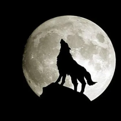 През януари по време на пълнолуние ще се случи и