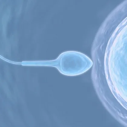 Почти 200 деца са заченати със сперма на донор с раков ген в Европа