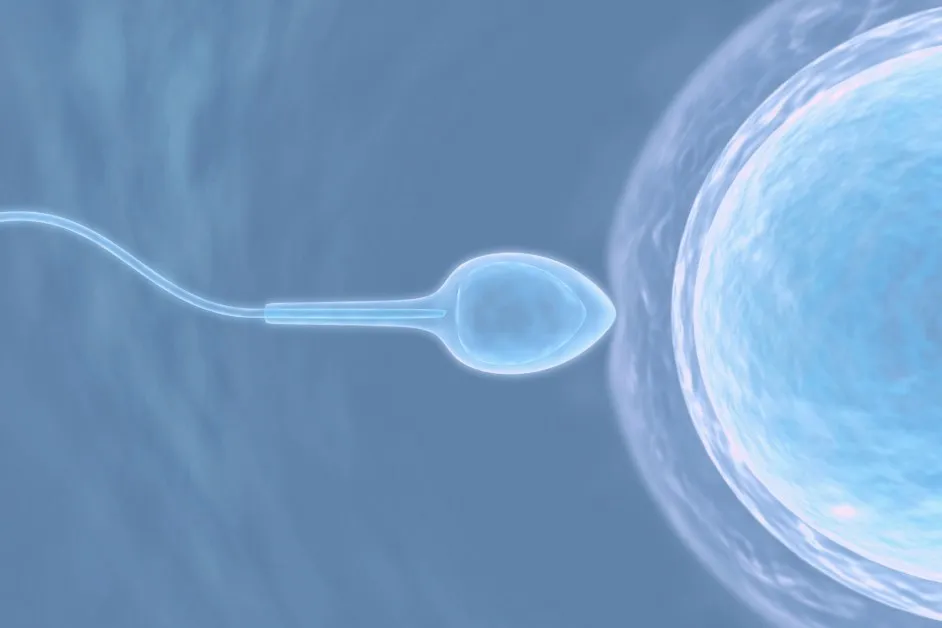 Почти 200 деца са заченати със сперма на донор с раков ген в Европа