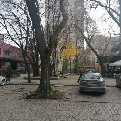 Мъж крещи вулгаризми посред бял ден, плаши майки и деца