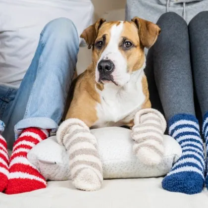 Чорапите са сред най незабелязваните дрехи но бързо се превръщат в