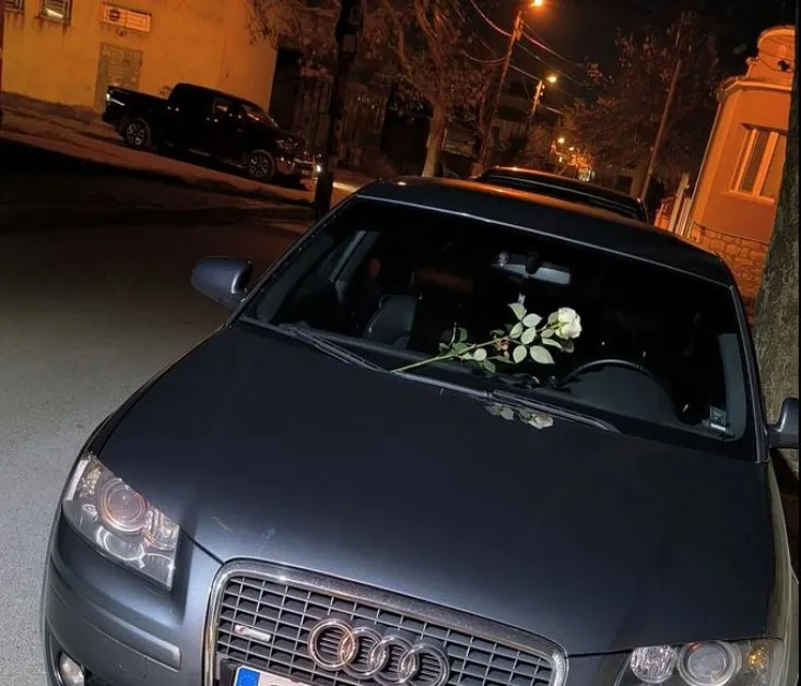 Бяла роза върна надеждата, че романтиката е жива СНИМКА