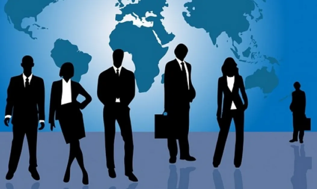 Кои са най-търсените професии по региони и сектори