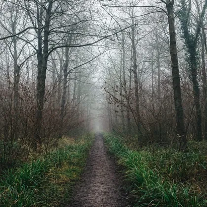 Климатолог: Децата ще трябва да изкарат една кафява Коледа