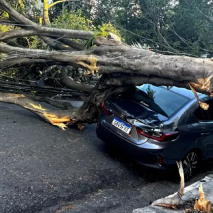 Силни ветрове парализираха Сао Пауло: Милиони без ток, стотици отменени полети