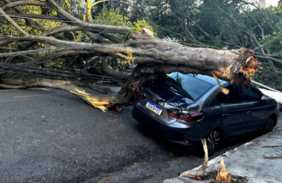 Силни ветрове парализираха Сао Пауло: Милиони без ток, стотици отменени полети