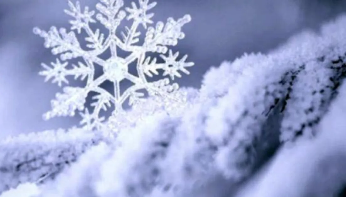 Имен ден празнуват хората с красиви снежни имена