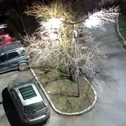 Видео споделено от Община Радомир във Facebook показва живият български