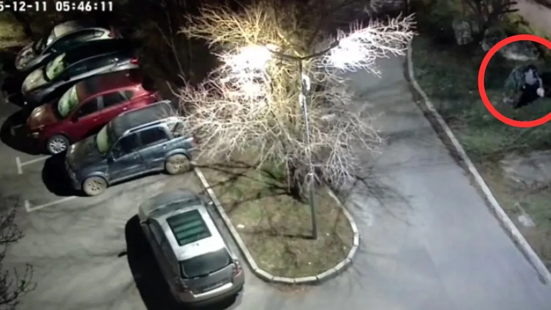 Откраднаха коледна елха, украсена от деца в Радомир ВИДЕО