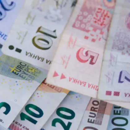 Банките съветват какво да правим с еврото и левовете