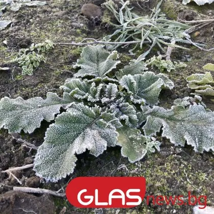 Ето какво ще бъде времето днес