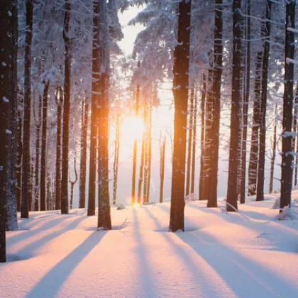 В Северното полукълбо астрономическата зима продължава приблизително от 21 или