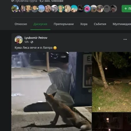 ДАЗД обяви кога е недопустимо видеонаблюдението в училища и детски градини