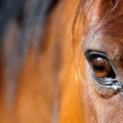 Движението по пътя Самоков София на излизане от Самоков