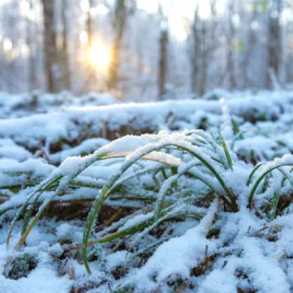 На 21 декември неделя в 17 03 часа българско време настъпва
