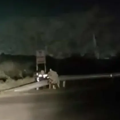 Полицаи скриха скоростна камера зад венец в памет на загинало семейство