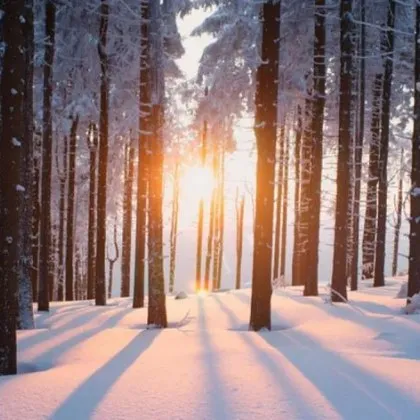 Часове ни делят от настъпването на астрономическата зима Тя започва