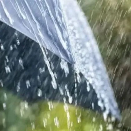 Първият зимен ден идва с валежи и мъгли