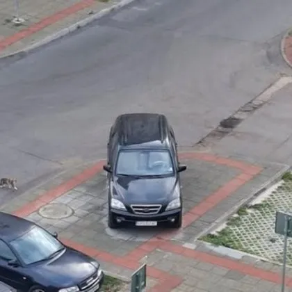 Една наглед обичайна постъпка на шофьор предизвика бурни реакции и