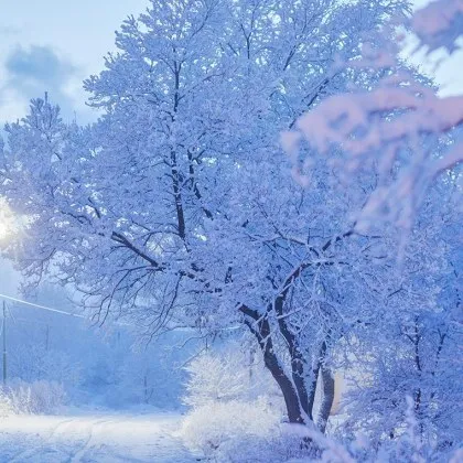 Коледната седмица тази година няма да ни посрещне с приказна