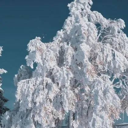 Лоши са условията за туризъм в планините съобщиха от Планинската