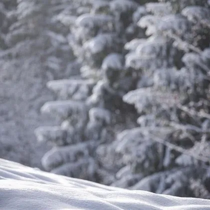 Обявиха жълт код за обилен снеговалеж в България КАРТА