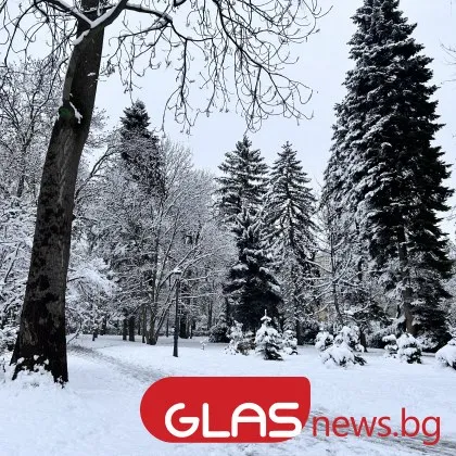 На Коледа сняг ще вали и в централните части на