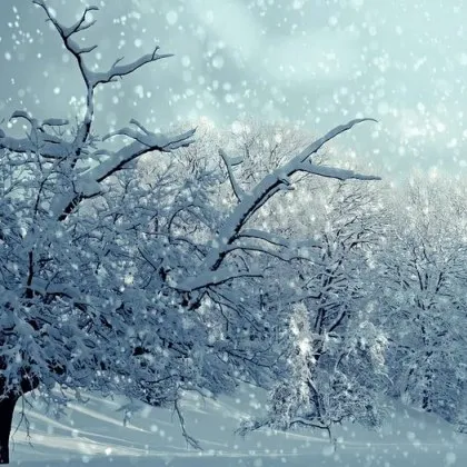 Ранните прогнози за предстоящия януари са за студено време с