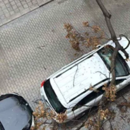 Дърво падна върху кола в Пловдив