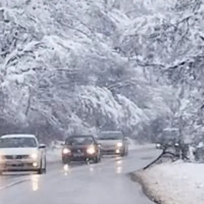 Камион катастрофира на Хаинбоаз