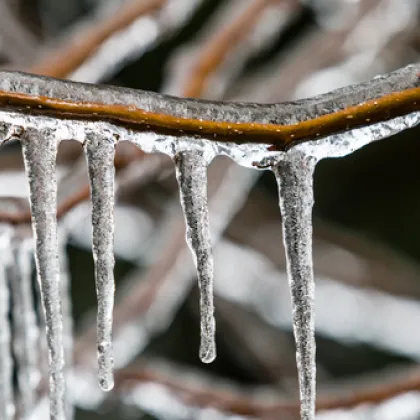 Климатолог: Очакват ни ледени дни