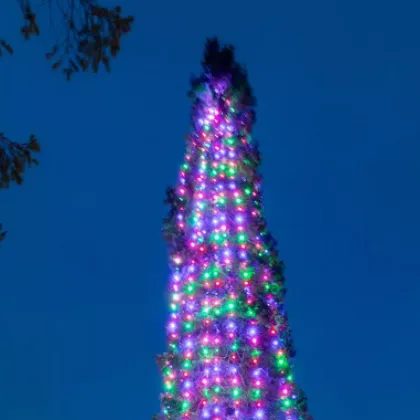 Кое е най-голямото коледно дърво в света и къде се намира