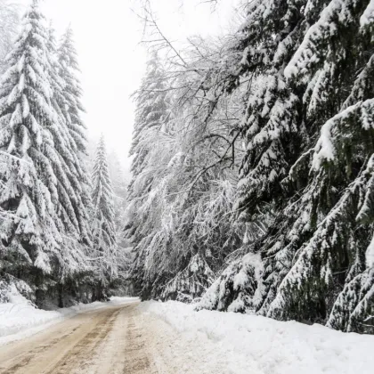 Спасиха туристи, тръгнали по анцуг и маратонки на Витоша