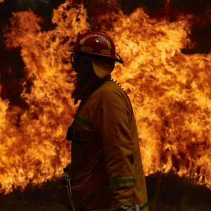 Животни изгоряха при пожар в обор край Сандански