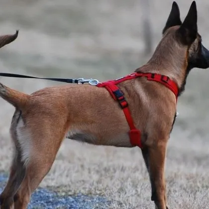 Притеснително твърдение за потенциална опасност на улица в Горна Оряховица