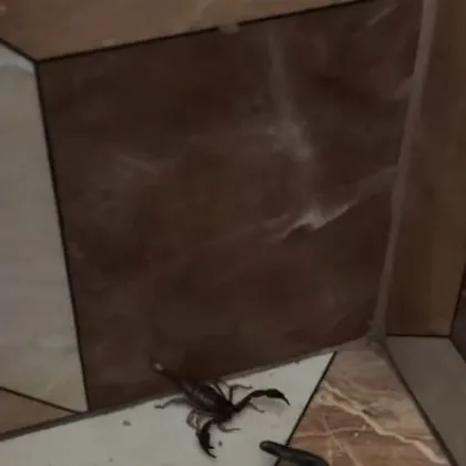 Неочакван подарък откри мъж в дома си на втория ден