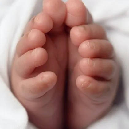 Защо хората имат по пет пръста на ръцете и краката? Отговорът на учените ще ви изненада