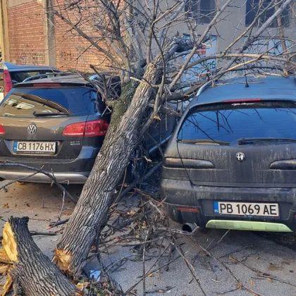 Силният вятър създава сериозни затруднения в Пловдив от ранните часове на