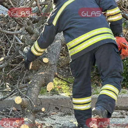 Клони паднаха на бул 6 ти септември в Пловдив вследствие на